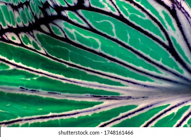 texture pattern and background abstract
