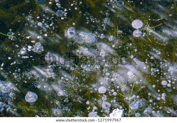 Texture pattern background white Winter, river ice\
air bubbles stagnant. drawing on ice frost formed. Severe cold\
frozen water. a large natural stream of water flowing in a channel\
to the sea, a lake