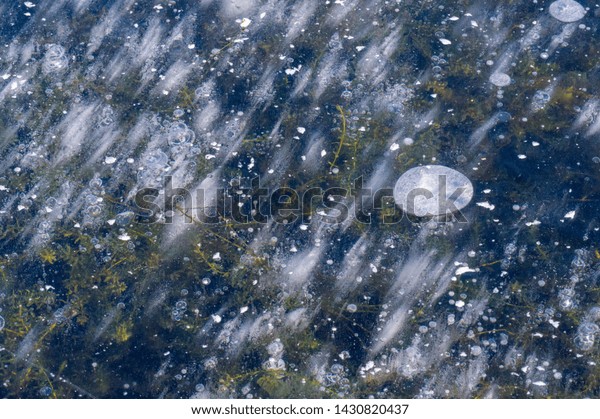 Texture pattern background white Winter, river ice\
air bubbles stagnant. drawing on ice frost formed. Severe cold\
frozen water. a large natural stream of water flowing in a channel\
to the sea, a lake