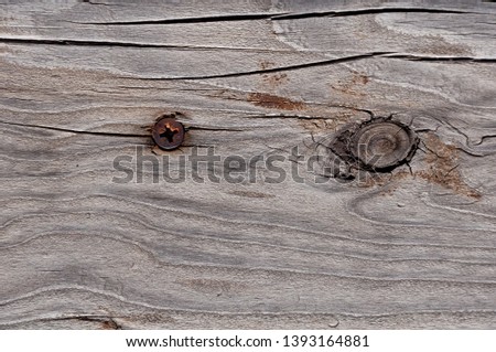 Texture photo of grey, worn, shabby, old and cracked wood which was exposed to weather and sun for years and with an old rusted screw. Ideal as a background.