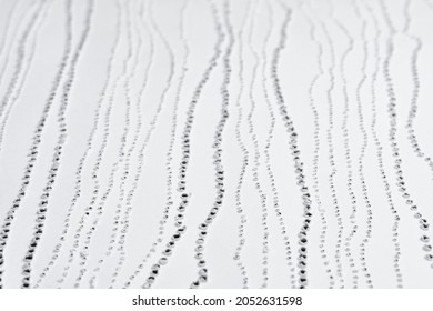 Texture Of Pierced Paper. Simple Dot Pattern.