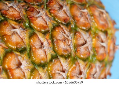 The texture of the pineapple close up, copy space.