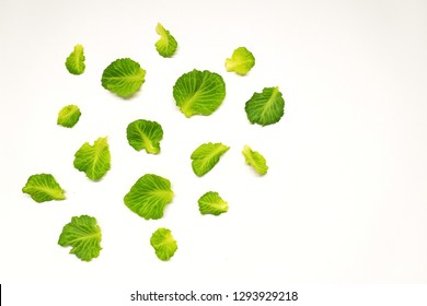 Texture Plants Design Can Be Used Stock Photo 1293929218 | Shutterstock