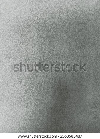 The texture of the plastered wall is smooth with a pattern of small spots spread evenly, giving the impression of a slightly rough surface.