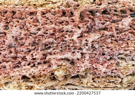 The texture of the porous stone is orange in color. The layered structure of the stone. Natural stone