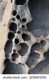 Texture Of Porous Stones On The Beach