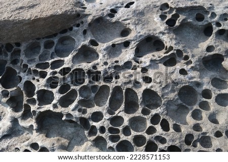 texture of porous stones on the beach, nature, natural phenomena, brown-gray stones
