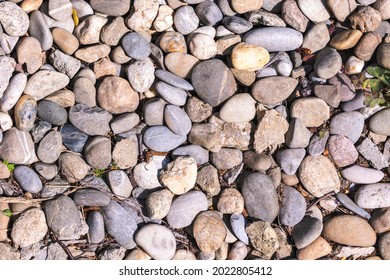 A Texture Portrait Of Pea Gravel, Which Are Small Rocks Of Different Shapes, Colors And Sizes To Cover Parts Of Your Garden For Steady Footing And Less Weeds Or In A Spa To Become Completely Zen.