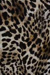 Animal skin texture featuring leopard, skin, and print | Animal Stock ...