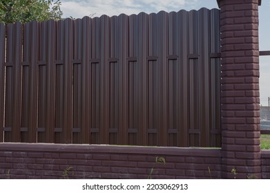 Texture of profiled metal. Metal fence. urban landscaping, beautiful thuja occidentalis on the background of a modern fence made of metal profile