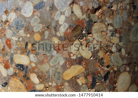 Texture of Puddingstone rock, also known as either pudding stone or plum-pudding stone