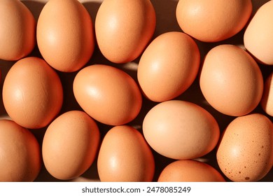 Texture of raw chicken eggs, closeup