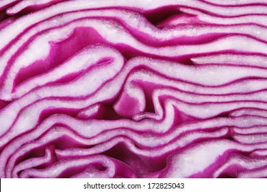 texture of red cabbage close up. macro. horizontal 