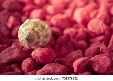 texture of a red concrete as a background