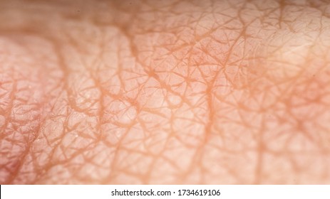 Texture, Relief Of Healthy, Human Skin, Macro Photography, Visible Bumps, Furrows, The Concept Of Health And Skin Care