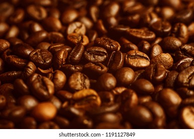 The texture of roasted coffee beans. Macro image