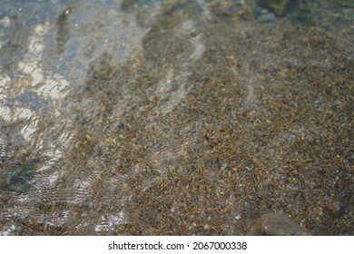 Texture Of Rocky Sea Bottom Under Sea Water.