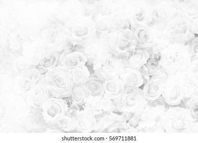 713,291 White roses texture Images, Stock Photos & Vectors | Shutterstock