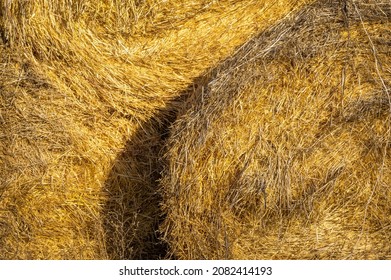 Texture of a round haystack on a rural farm