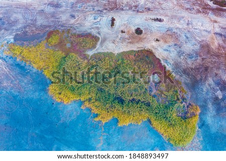 Texture of salty lakeshore. Aerial view. Lakeshore, abstract nature background