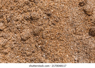 Texture of sand and clods of ground, close up. Sunny day, construction concept. Abstract background for the design.