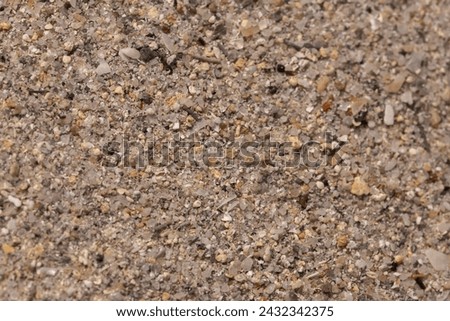Texture of sand with little rocks and crushed shells 