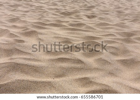 Texture of sand pattern on a Baltic beach in summer