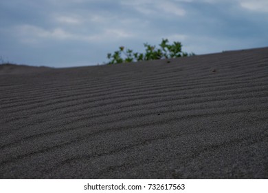 The texture of sand when exposed to wind.
