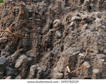 The texture of the sandy soil forms mountains. Sandy soil forms mountains