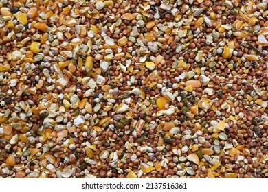 Texture of seed and grain mix for bird feed and livestock . - Shutterstock ID 2137516361