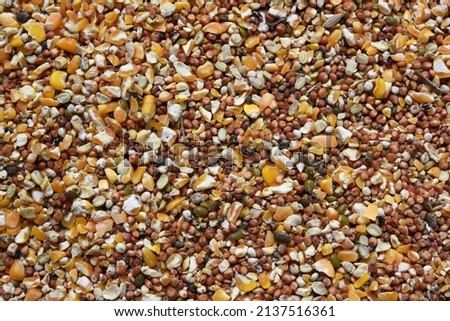 Texture of seed and grain mix for bird feed and livestock .