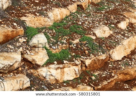 Texture - a set of structural features of rocks and stones