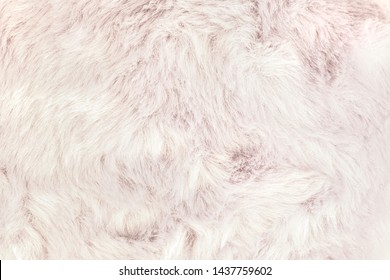 Texture of shaggy fur background. Detail of soft hairy skin material.