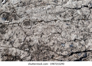 Texture Of Shattered Concrete. Natural Concrete Background