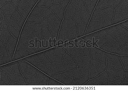The texture of the sheet recolored in black