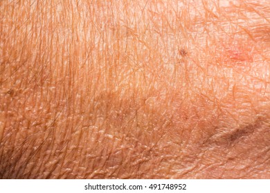 Texture of the skin with wrinkles on the body of mature male - Shutterstock ID 491748952