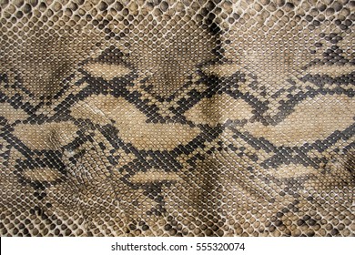 Texture of snake leather skin.