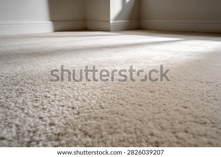 The texture of a soft, deep pile carpet is highlighted by natural light creating gentle shadows across the floor, suggesting comfort and warmth