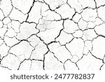 Texture soil dry crack background pattern of drought lack of water of nature white black old broken.