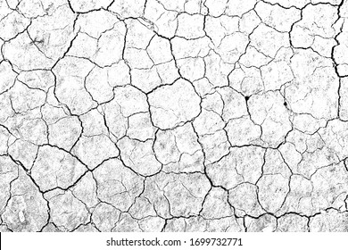 Texture soil dry crack background pattern of drought lack of water of nature white black old broken. - Shutterstock ID 1699732771