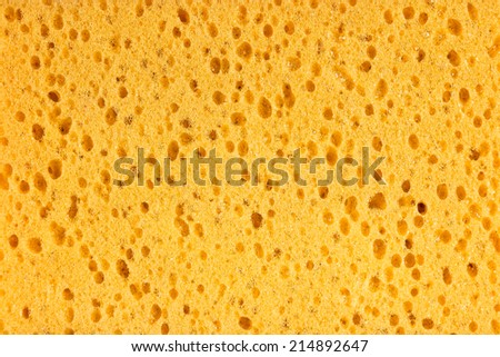 texture of sponge use for background