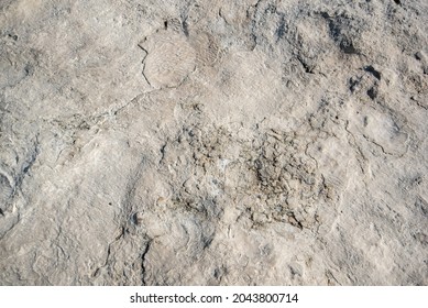 Texture Of Stone With Calcium Deposits. Abstract Background.