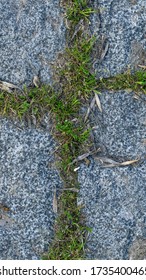 The Texture Of The Stone Garden Path, Overgrown With Grass