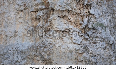 The texture of the Stone Mountain
