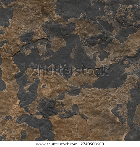 the texture of the stone in the wild 