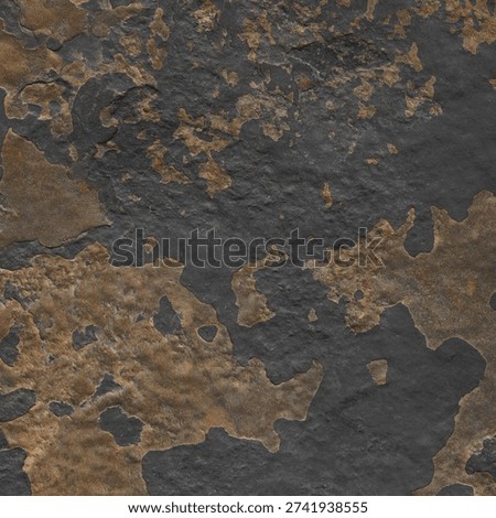 the texture of the stone in the wild 