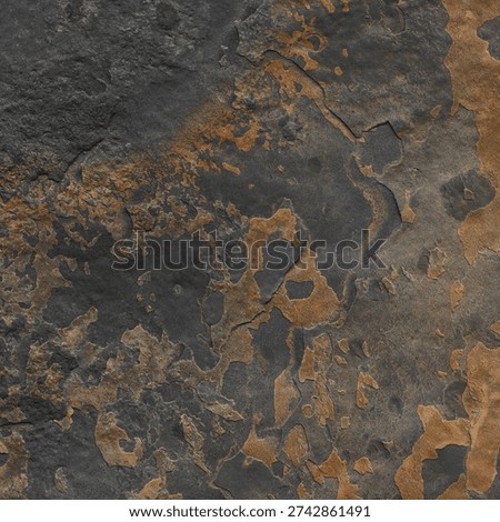 the texture of the stone in the wild 