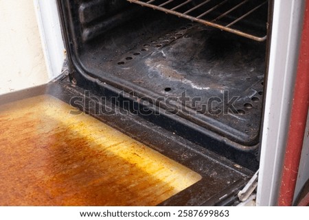 the texture and structure of fat and dirt on a long-unwashed stove and oven, unsanitary conditions in the kitchen when preparing food