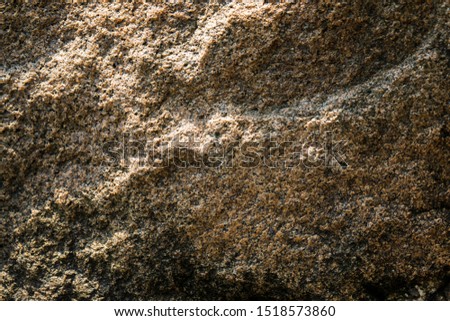 Similar – Image, Stock Photo Barnacles on the stones of the beach of Las Catedrales, Lugo, Spain