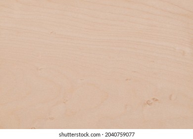 Texture Of  Sycamore Wood Veneer